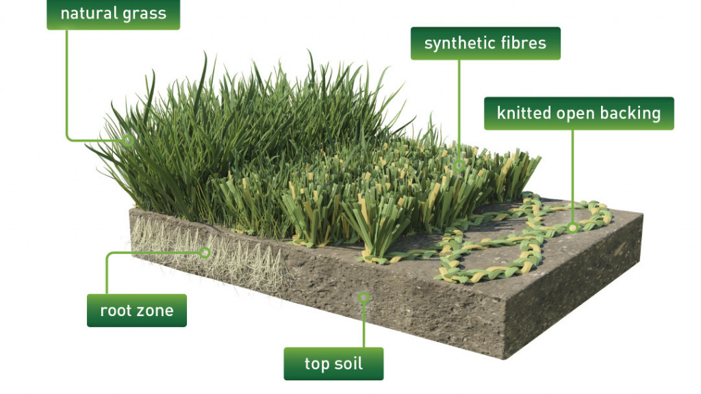 Urban Hybrid Grass
