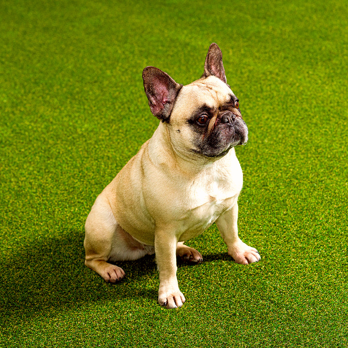 20230112-DHF_2618-web___media_library_original_1673_1115